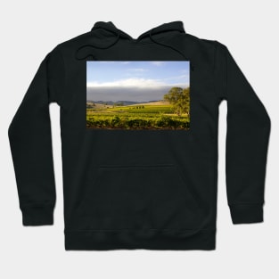 Barossa Valley Landscape Hoodie